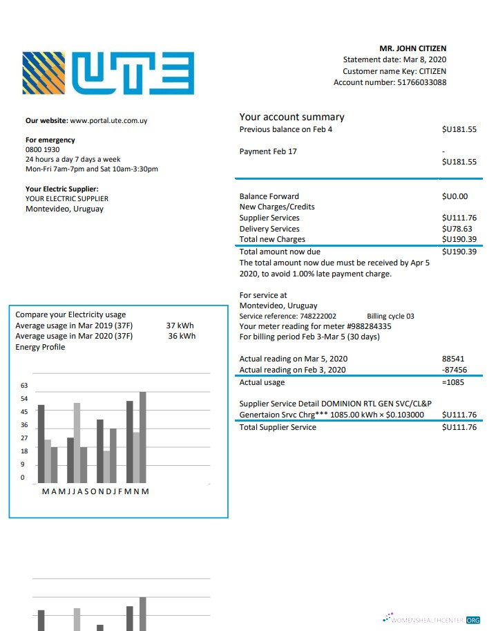 download Uruguay UTE Company electricity utility bill template in Word and PDF format PDF template